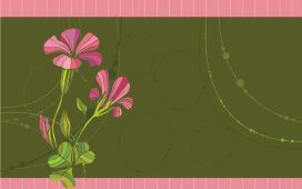 Cute Pink flowers backgrounds