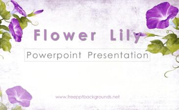 Flower Lilly PPT Backgrounds