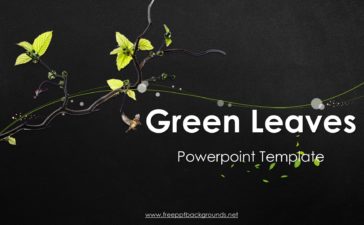 Green Leaves PPT Backgrounds