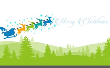 Snow Winter Christmas PPT Backgrounds